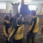 Sportunion-Ausflug-Pferde-Kastell-Dornau